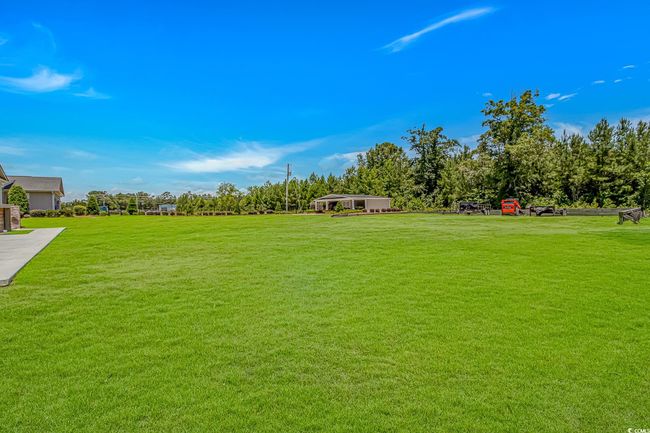 View of green lawn | Image 27