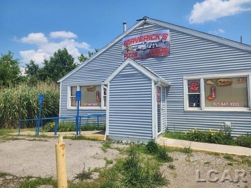117 N Steer St, Addison, MI, 49220-9400 | Card Image