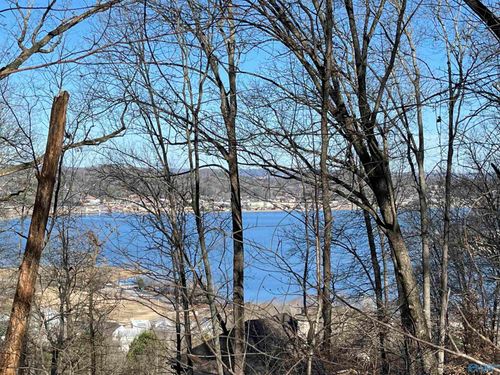 14 AC Jackson Trl, Guntersville, AL, 35976 | Card Image