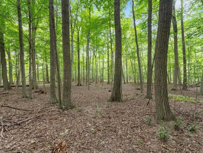 1150 Logwood Court, House other with 4 bedrooms, 2 bathrooms and null parking in MANITOWOC RAPIDS WI | Image 54