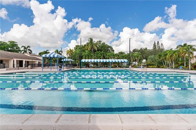 Olympic swimmimng Pool | Image 19