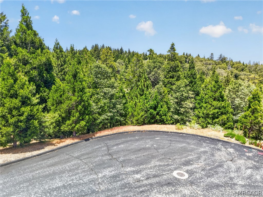 Land in Lake Arrowhead