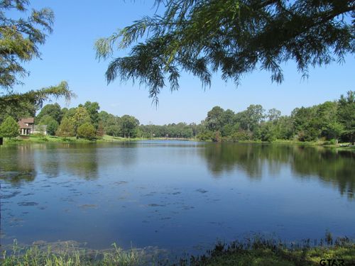Lot 1 Cr 2307, Mineola, TX, 75773 | Card Image