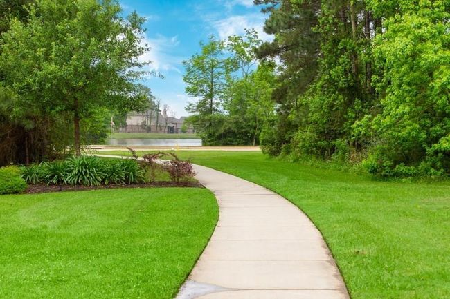 Peaceful Walking path | Image 49