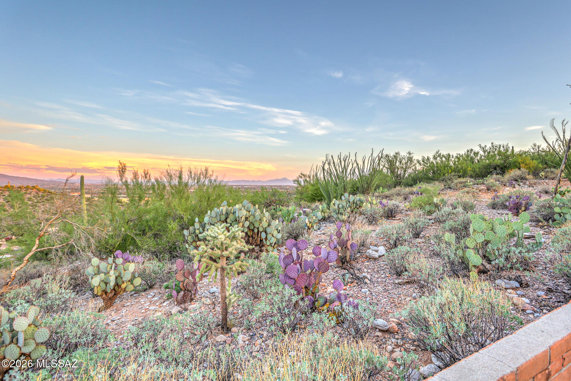 Residential in Tucson 5