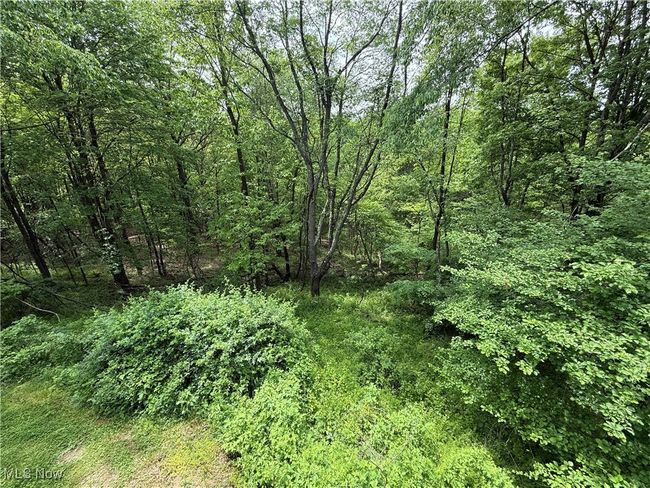 View of woods | Image 23