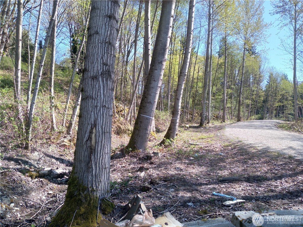 Land in Renton 5