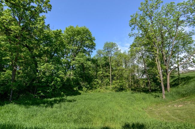 Lot 1 Stone Valley Road, Home with 0 bedrooms, 0 bathrooms and null parking in BERRY WI | Image 9