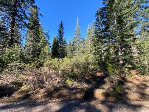 4-L-6 Winding Way, Mccloud, CA, 96057 | Card Image