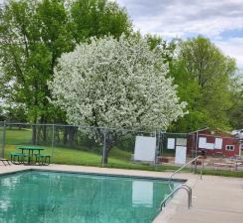 2945 County Road 4 Sw, Cokato, MN, 55321-4125 | Card Image