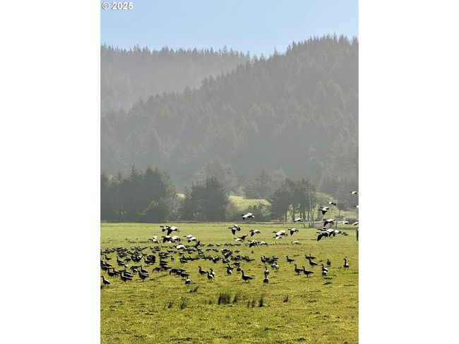 4 - 000 Old Coast Hwy, Home with 0 bedrooms, 0 bathrooms and null parking in Gold Beach OR | Image 42