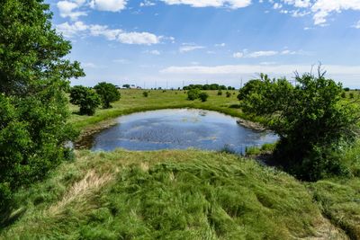 View of water feature | Image 3