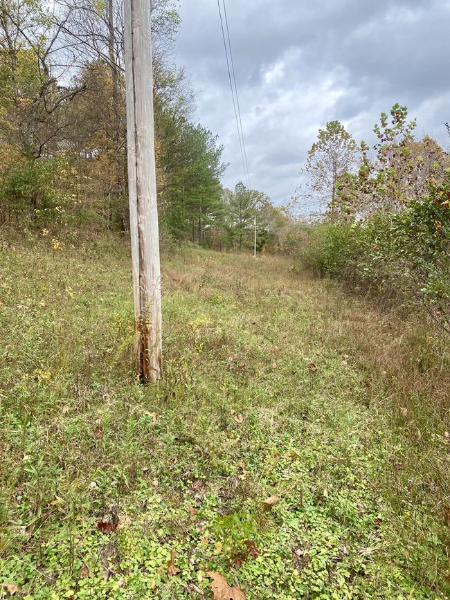 427 Blooming Grove Rd, House other with 2 bedrooms, 2 bathrooms and null parking in Five Points TN | Image 18