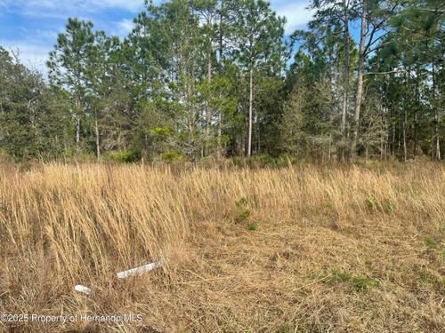 18061 Necklace Warbler Ave, WEEKI WACHEE, FL, 34614 | Card Image