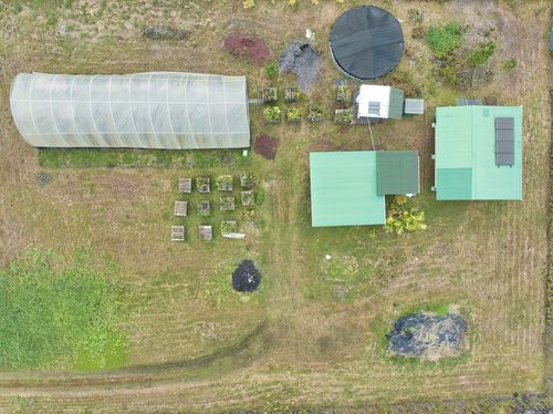 11-1984 Ohialani, VOLCANO, HI, 96785 | Card Image