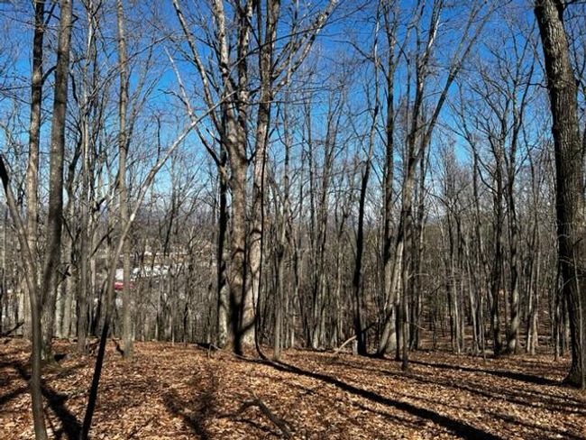 Elm View | Image 5