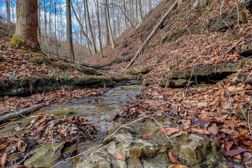 6.24 AC Hutchins Bend Rd, Sparta, TN, 38583 | Card Image