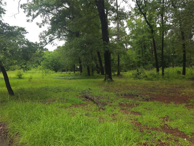 208 Mountain View Dr, Home with 0 bedrooms, 0 bathrooms and null parking in Daingerfield TX | Image 8