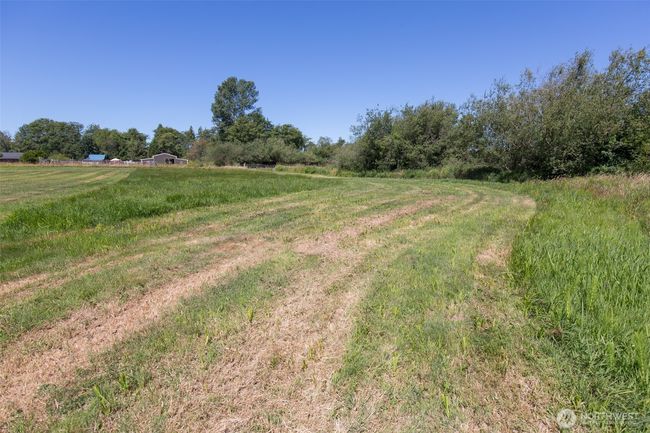 0 Buttercup Ln, Home with 0 bedrooms, 0 bathrooms and null parking in Sequim WA | Image 21