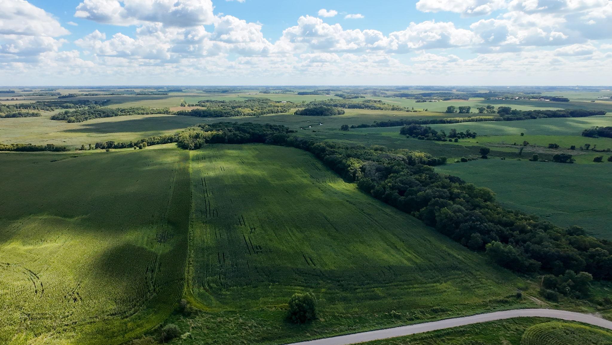Land in Morristown 3