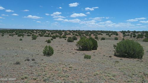 TBD Ranch Of The White Mountains, Concho, AZ, 85924 | Card Image