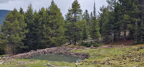Tract 8, 9, 10 Garnet Range, Drummond, MT, 59832 | Card Image