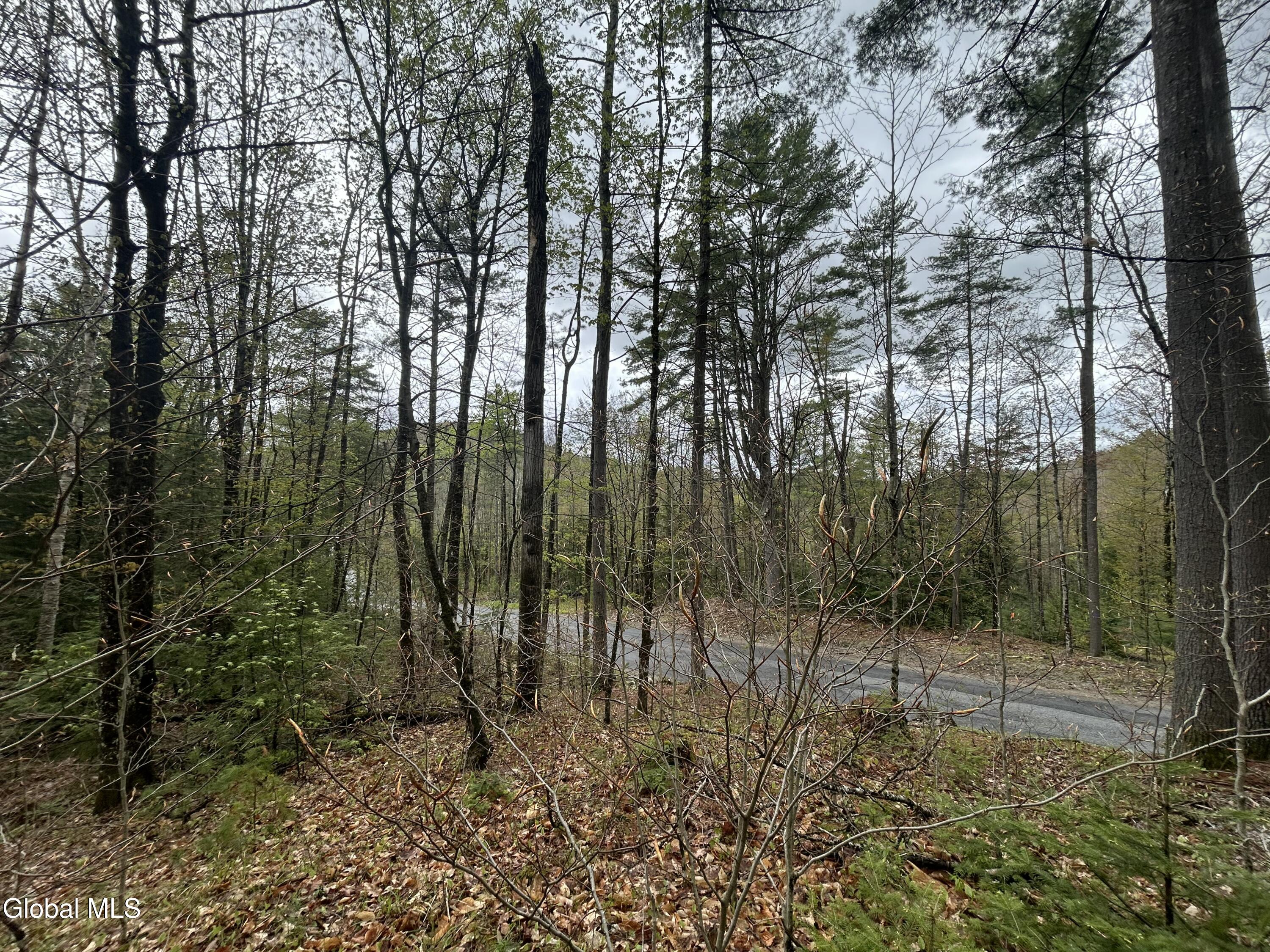 Land in Horicon 2