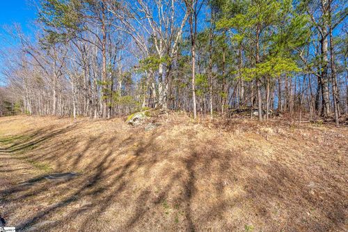 00 Coneflower Trail, Landrum, SC, 29356-3329 | Card Image