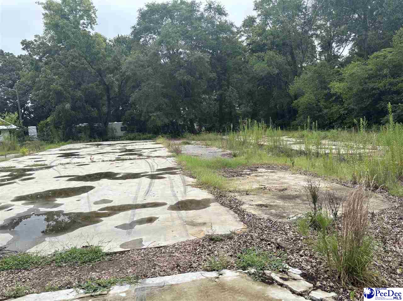 Land in Hartsville 3