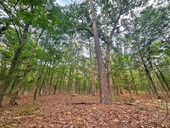 53 - 53 Homestead Trl, Home with 0 bedrooms, 0 bathrooms and null parking in Moyers OK | Image 15