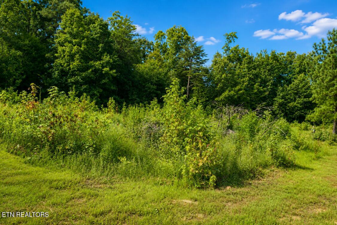 Land in Philadelphia 5