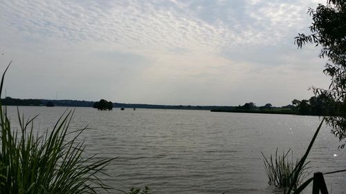 336 Grand View Dr, Athens, TX, 75752 | Card Image