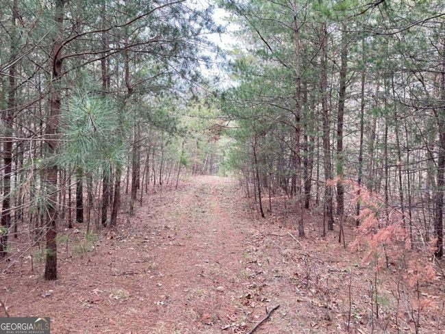 0 Mountain Ridge Dr, Home with 0 bedrooms, 0 bathrooms and null parking in Dahlonega GA | Image 7