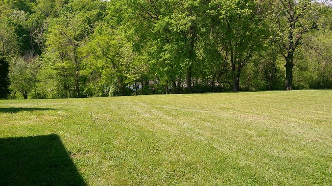 5963 Ky Highway 36 E, Home with 0 bedrooms, 0 bathrooms and null parking in Sanders KY | Image 12