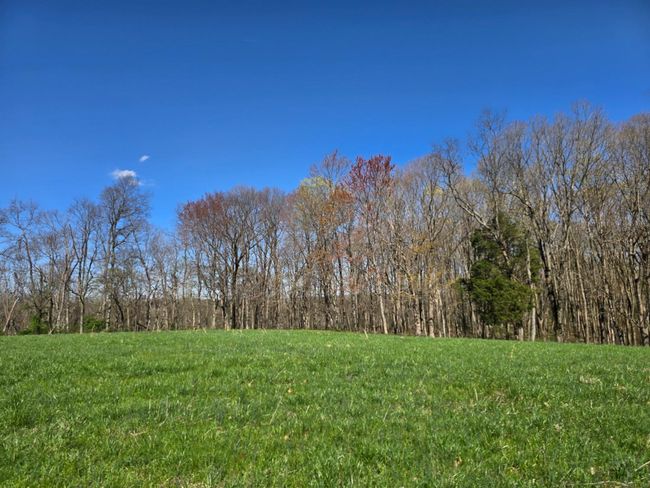 8266 State Highway 262, Home with 0 bedrooms, 0 bathrooms and null parking in Dillsboro IN | Image 11
