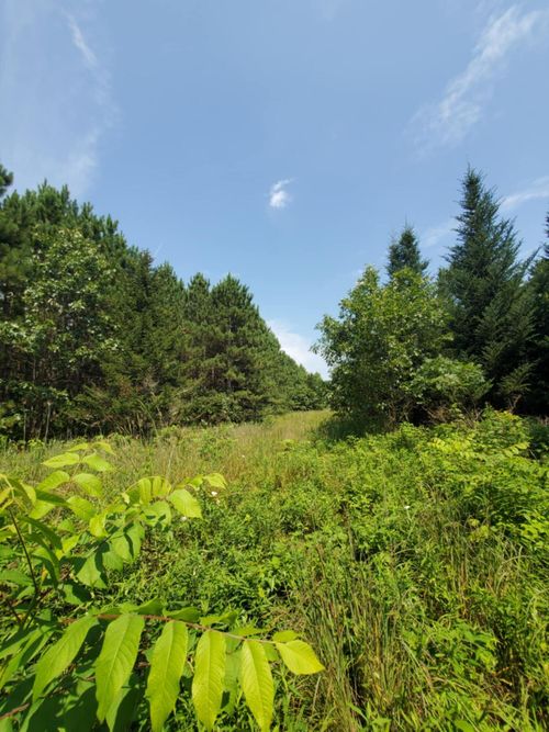 Lt0 Town Hall Rd, Wisconsin Dells, WI, 53965 | Card Image