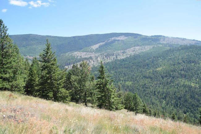 1555 Comstock Mine Rd, Home with 0 bedrooms, 0 bathrooms and null parking in Colville WA | Image 5