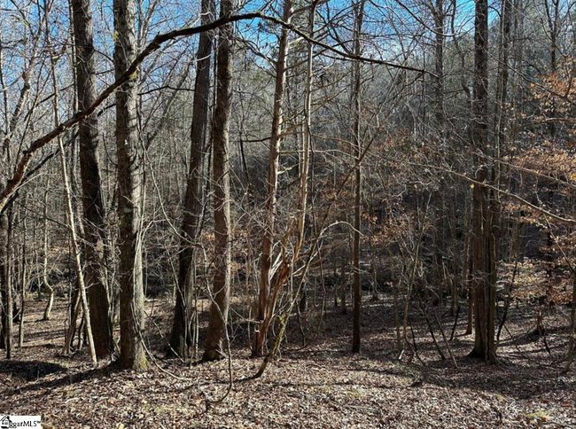 00 Terrapin Pointe Rd, Home with 0 bedrooms, 0 bathrooms and null parking in Hodges SC | Image 7