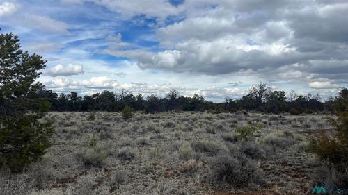 3 Native Drum Pass, Fence Lake, NM, 87315-8022 | Card Image