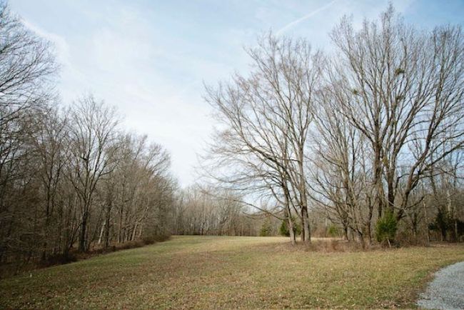 13300 Scottsville Rd, Home with 0 bedrooms, 0 bathrooms and null parking in Lucas KY | Image 8