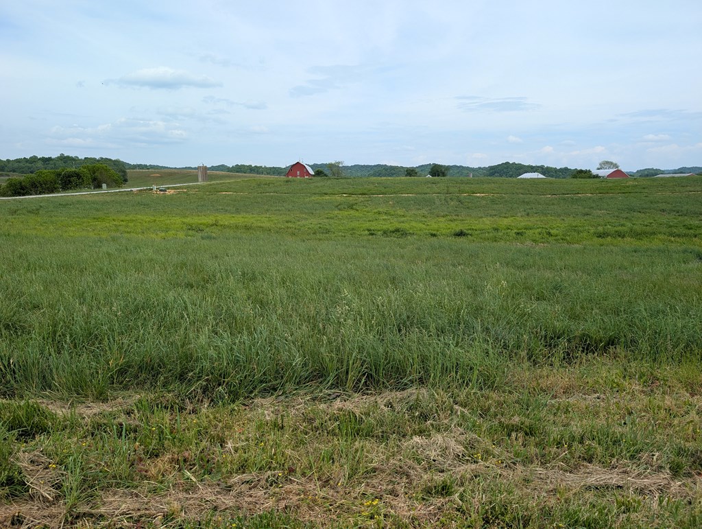 Land in Burkesville 2