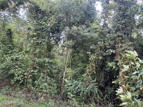 Tbd Bienville Rd, Ville Platte, LA, 70586 | Card Image