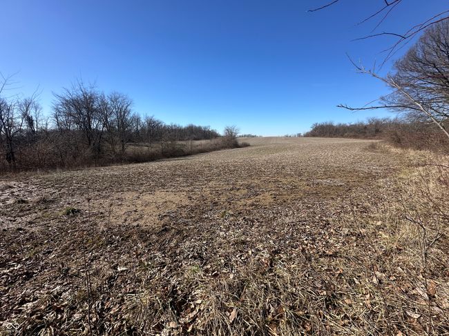0 S State Road, Home with 0 bedrooms, 0 bathrooms and null parking in Milroy IN | Image 67