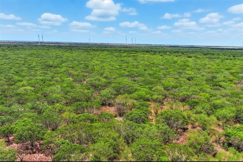 21316 County Road 798, Mathis, TX, 78368-4212 | Card Image
