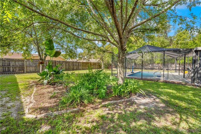 3485 Dothan Ave, House other with 3 bedrooms, 2 bathrooms and 2 parking in Spring Hill FL | Image 33