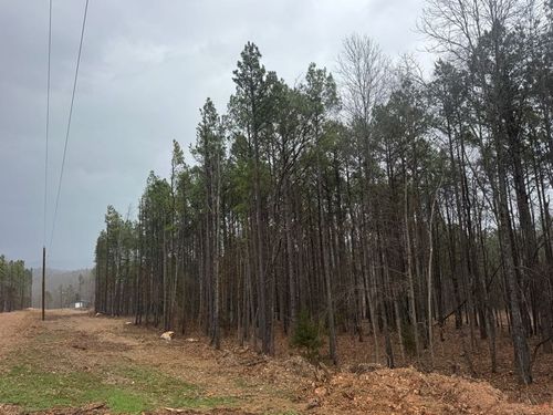 TBD Nc 3050, Jasper, AR, 72641 | Card Image