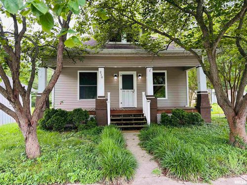 210 Se Front St, Dongola, IL, 62926-1058 | Card Image