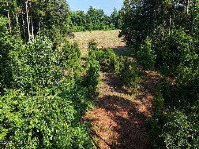 1 Barbee Rd, Home with 0 bedrooms, 0 bathrooms and null parking in Richlands NC | Image 38