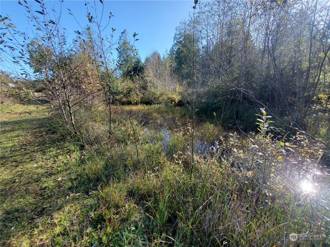 36602 Stackpole Rd, Home with 0 bedrooms, 0 bathrooms and null parking in Oysterville WA | Image 9