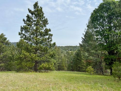0 Watt Road Ext, Mariposa, CA, 95338 | Card Image